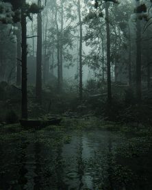 Veil of Mist